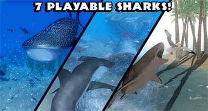 鲨鱼模拟器游戏苹果版