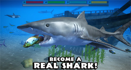 鲨鱼模拟器游戏苹果版