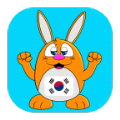学韩语说韩语app手机版