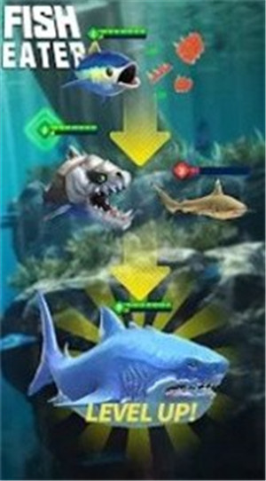  鲨鲨进化论最新版游戏下载