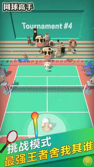 网球高手游戏正式版下载