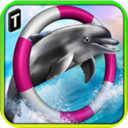 海豚比赛3D版