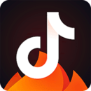 抖音火山版app安卓