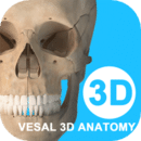 维萨里3D解剖app专业版