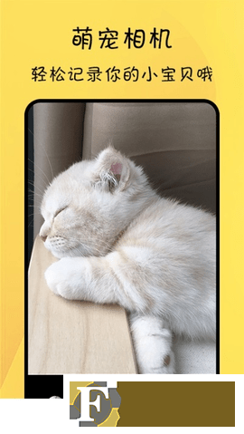 猫友舍app安卓标准版